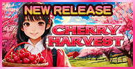 CHERRY HARVEST