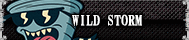 WILD STORM
